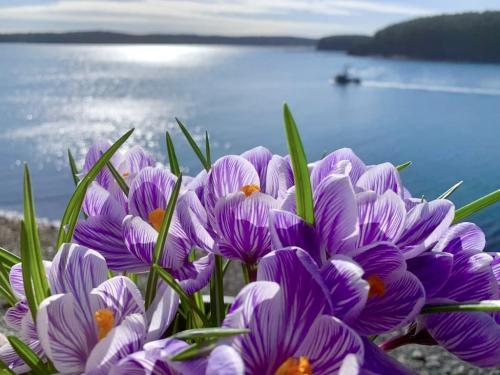 19:48:20 GMT-0800 (AKDT).image