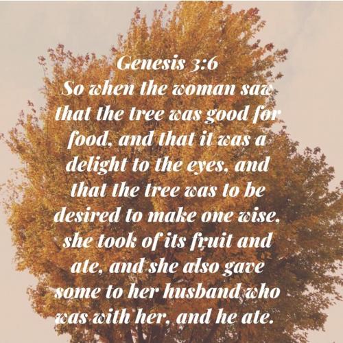 Screenshot_20210617-110638_Bible