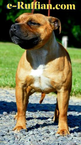 22:33:10 GMT-0400 (EDT)