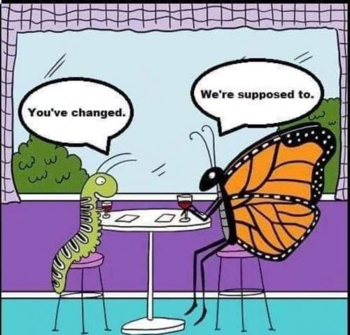 FB_IMG_1624999625680