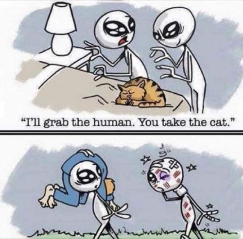 22:38:50 GMT-0700 (PDT).image