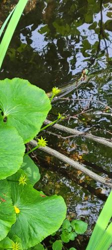 13:46:35 GMT-0500 (CDT)