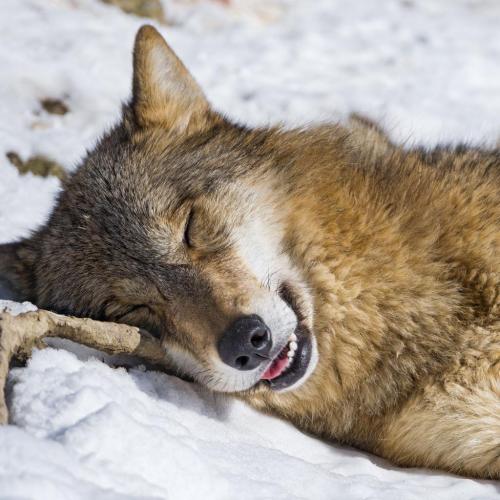 193576359_330188762008490_1119099233287859840_n