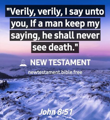 Screenshot_20210610-115242_New Testament Bible free