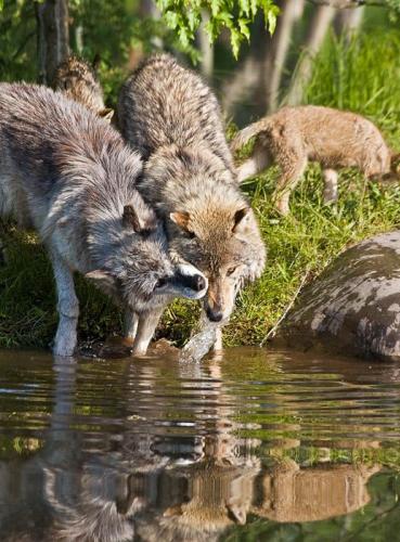 2c02f2820fdc5bd9428e6138523d4eaf