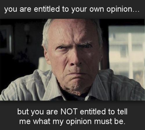 you are entitled to your own opinion