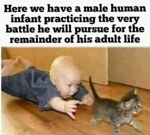 FB_IMG_1623544300654