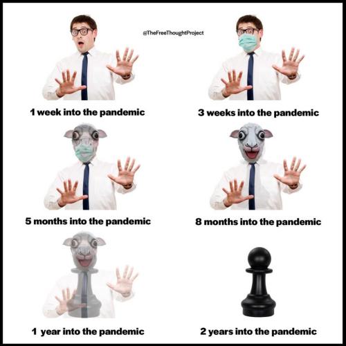 198458303_2560305787609953_4449477989586979895_n