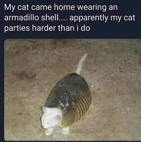 18:37:29 GMT-0700 (PDT)