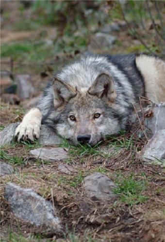 20:51:48 GMT-0500 (CDT)