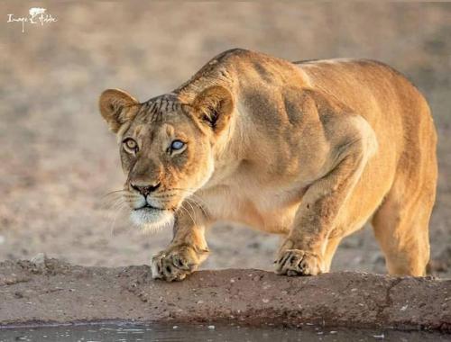 tumblr_cf81e5c26aa1048ab2a92781e08d12af_97673762_1280