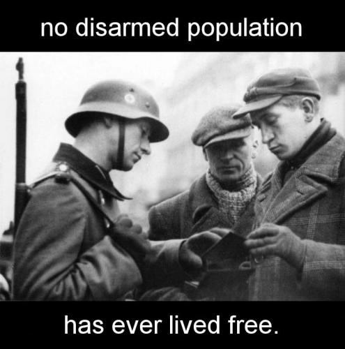 no disarmed population has ever lived free