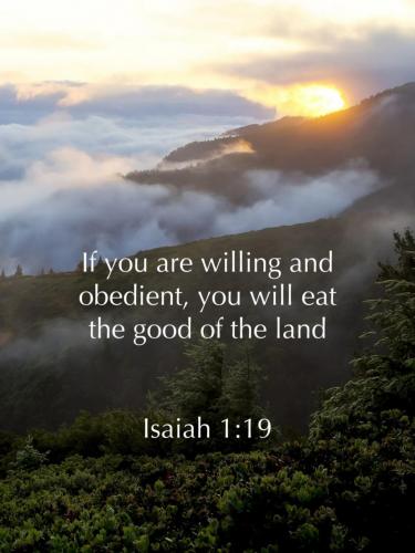 08:38:23 GMT-0400 (EDT)