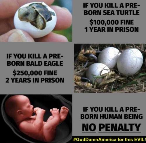 11:46:49 GMT-0400 (EDT).image