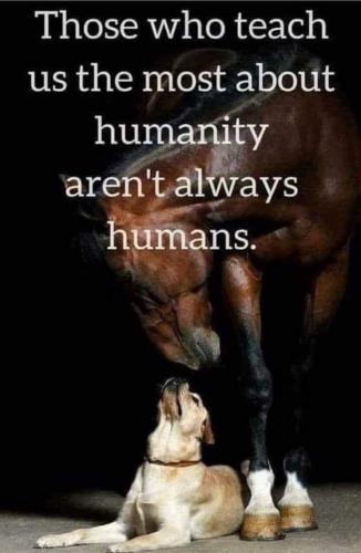 FB_IMG_1624713416693