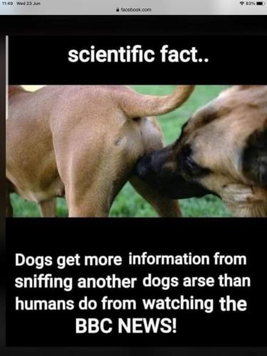 11:11:31 GMT-0600 (MDT)