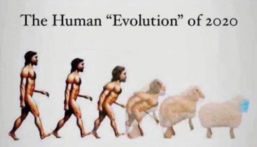 23:46:32 GMT-0400 (EDT).image