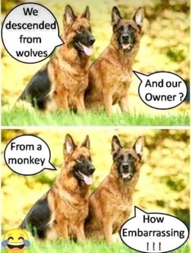 196143522_937022887131634_7946634674073416255_n