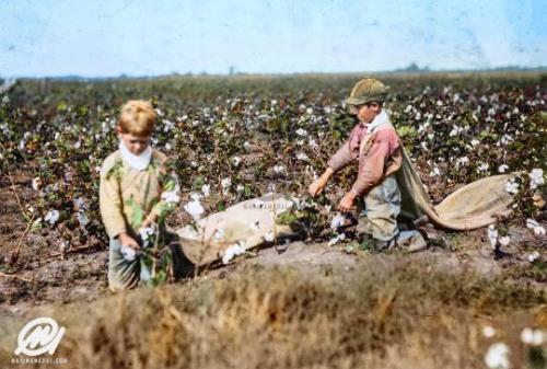 tumblr_0918f750d1a1922026112fcb66986c66_6faa200b_540