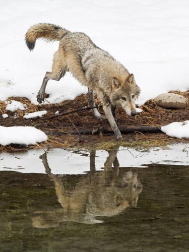 tumblr_ede3620b2daeced1f712793b1916c627_b033f73c_540