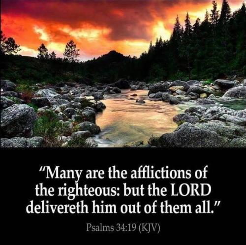 201874100_4764222603595062_795157774685455589_n