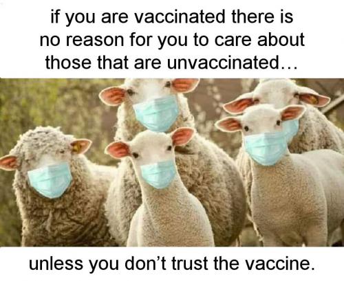 vaccine219