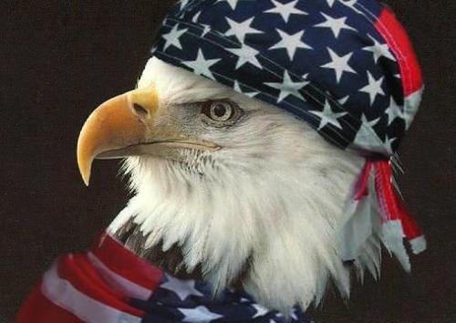 20:21:13 GMT-0500 (CDT)