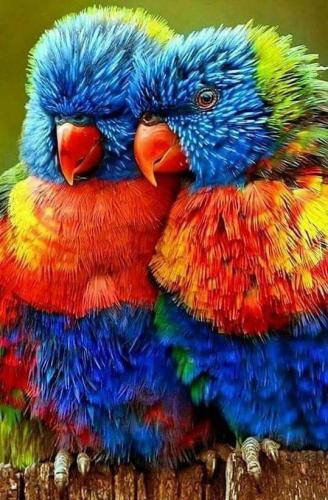 13:22:27 GMT-0500 (CDT)