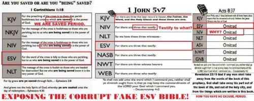 42831997_1981145541967567_8792861119447302144_n