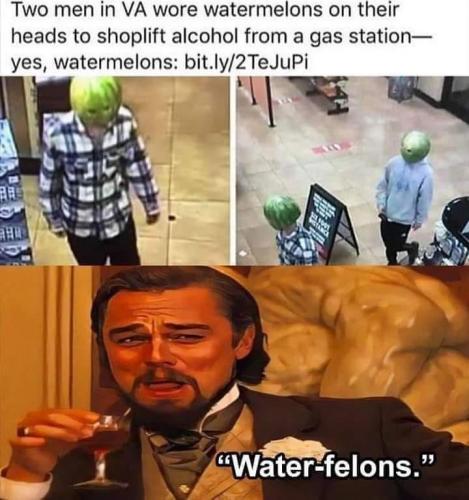 209683492_975308539952034_4650321674816300881_n