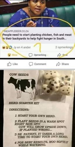 FB_IMG_1623976127147