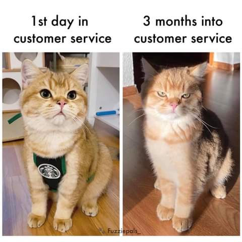 FB_IMG_1624218837607