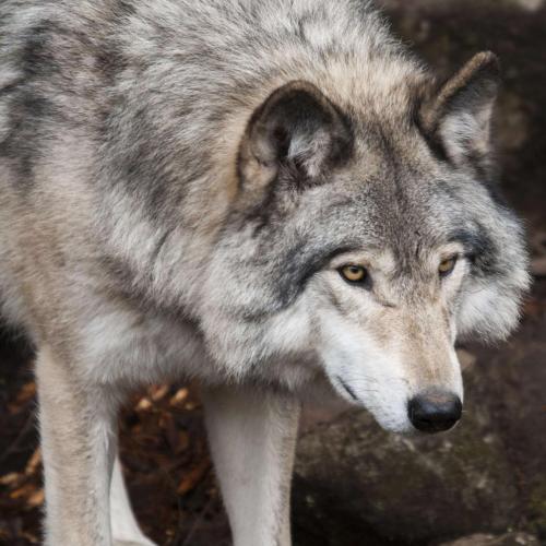 192913138_330175785343121_4029223157854383415_n