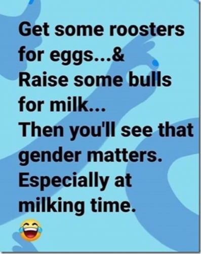 14:03:49 GMT-1000 (HST)