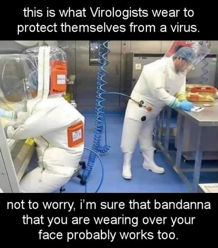 coronavirus1254