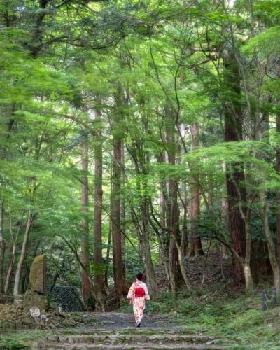 196562905_939650230153201_7043916185970834839_n