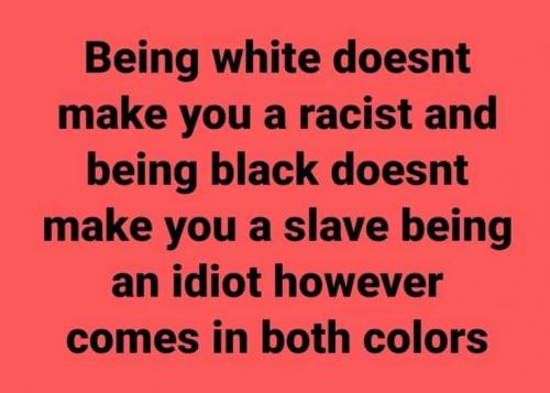 106244518_3135917086475359_4613396516514244847_n