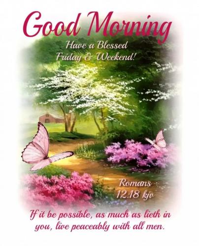 Screenshot_20210610-213304_Gallery