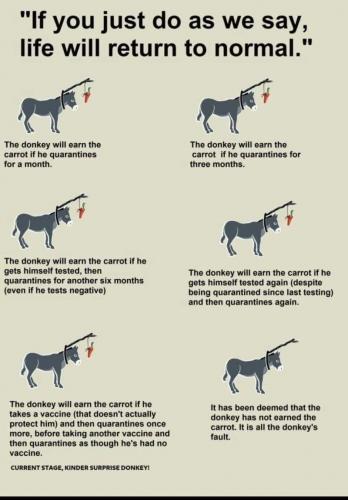 FB_IMG_1623708091388