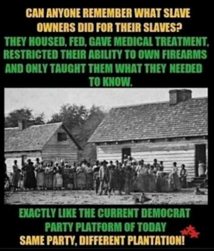 JLefHHZx4riezeFFZFQn_13_bfada3e902514c28ca649268542936a3_image