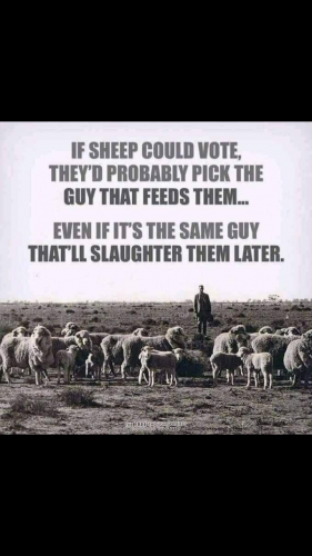 Screenshot_20210611-202023