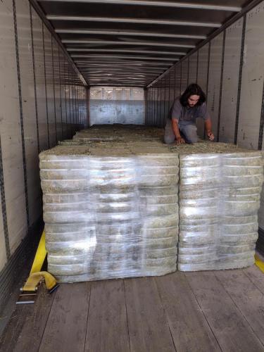 IMG_20210615_114456876