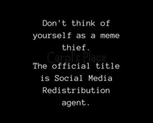 tumblr_c5c1cf2ec1700e66e533abf18ad66386_ee15ba6e_540