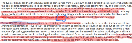 HEK293-Cell-Line-Origins-Cytogenetics-and-Expression (3)