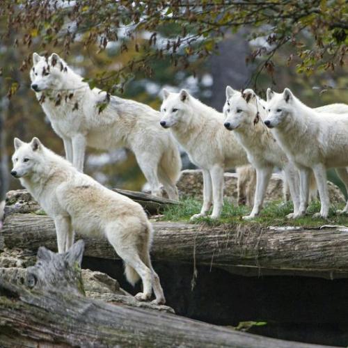 192155789_330160475344652_2983489728601276417_n