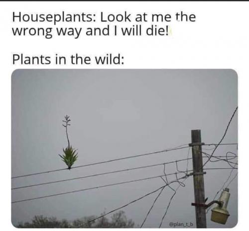 21:11:27 GMT-0500 (CDT)