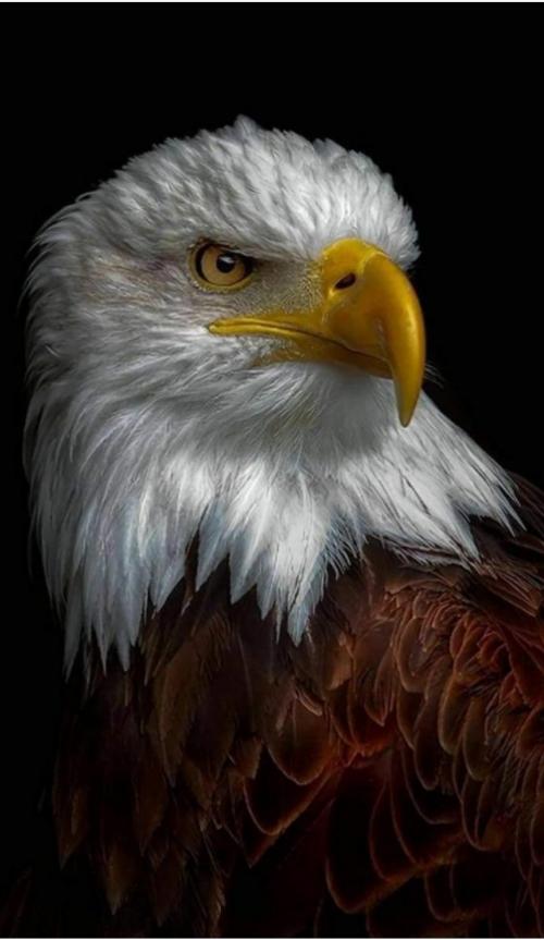 Screenshot_20210617-224824_Wimkin Uncensored