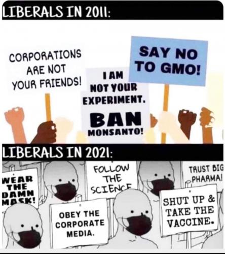 FB_IMG_1624309831155