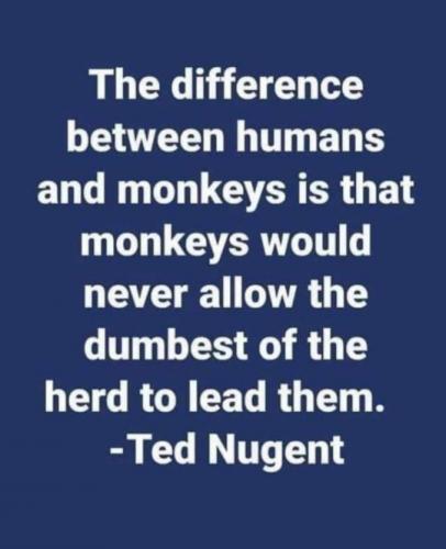 tumblr_dd37716dfd63cdf7476ef3208f857dfe_ef33f5db_540