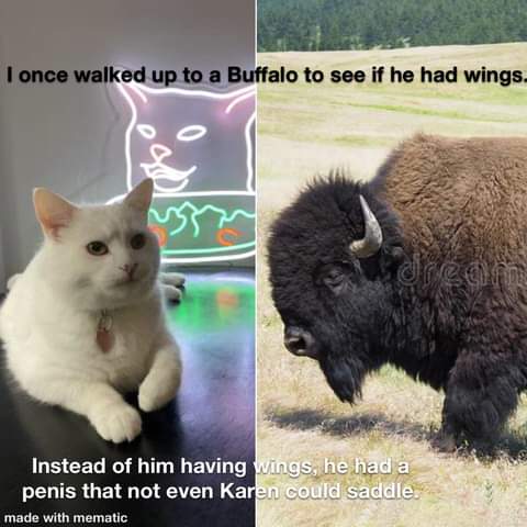 FB_IMG_1624687884110